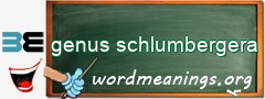 WordMeaning blackboard for genus schlumbergera